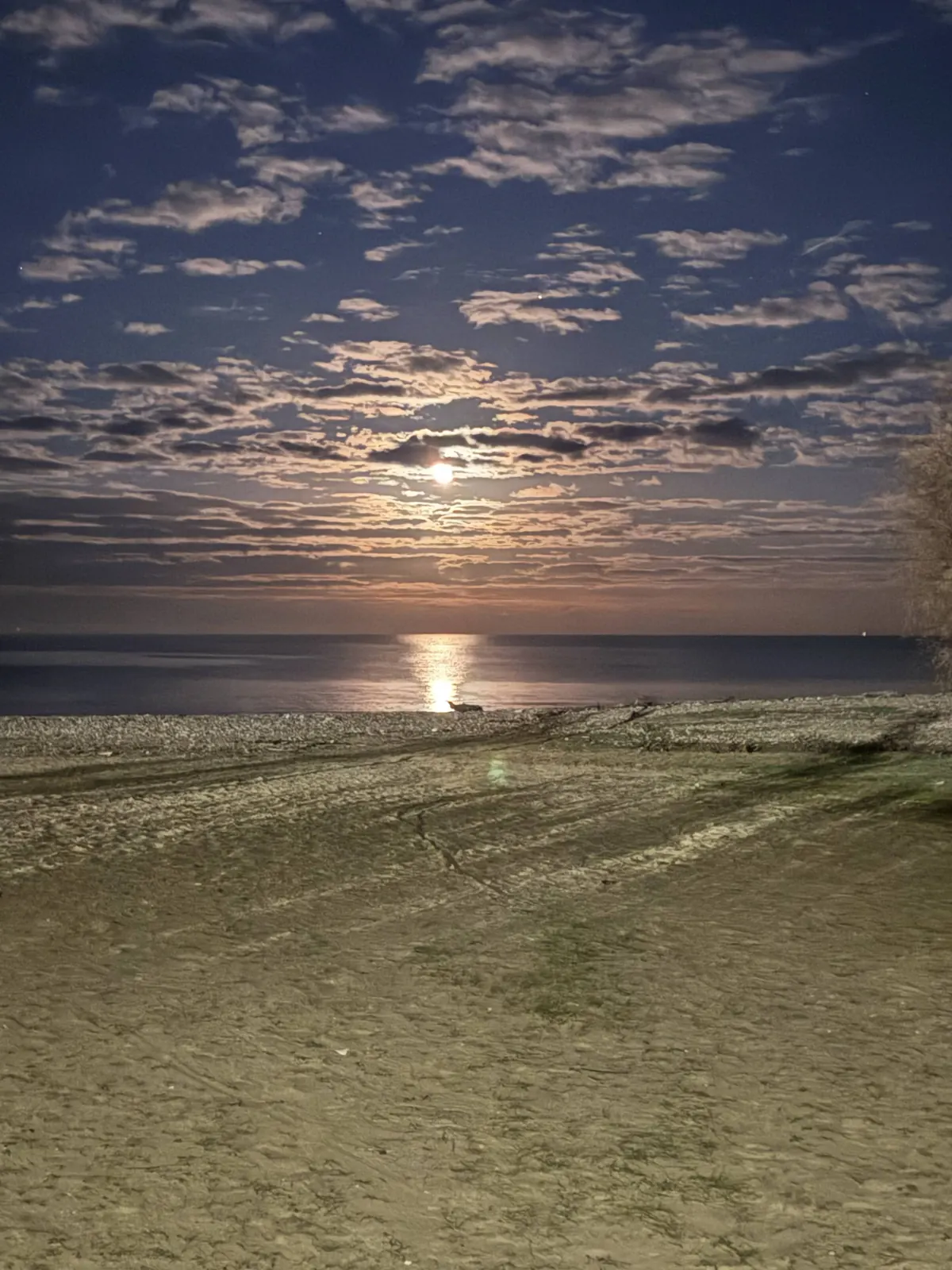 Moonlight reflected on the sea beyond a sandy beach