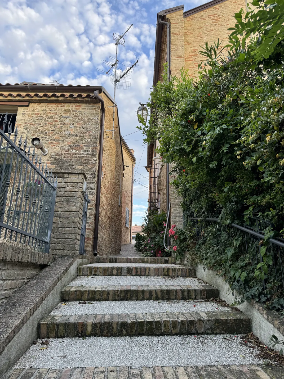 Sunlit stone village steps beside historic buildings and greenery