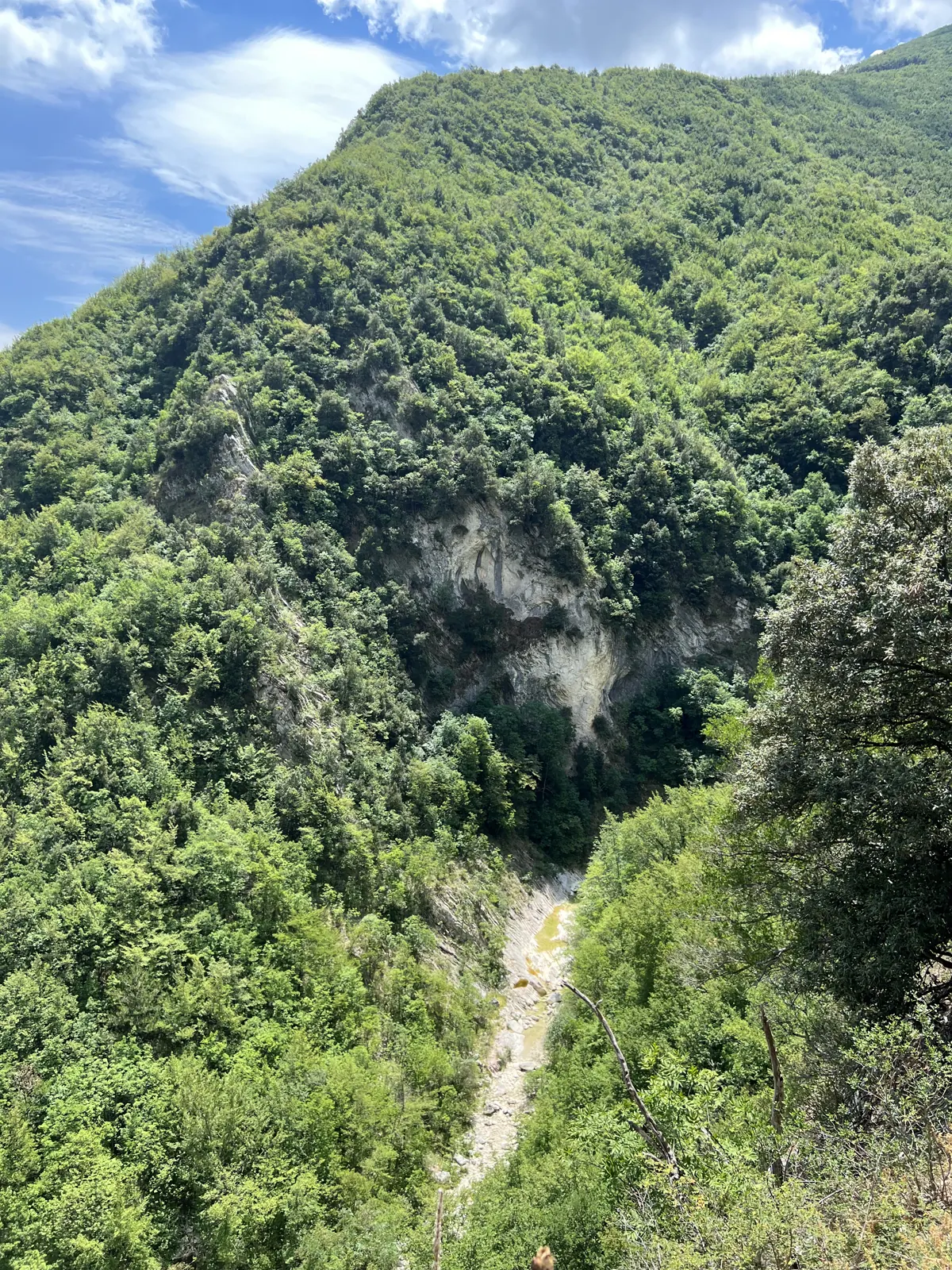A deep wooded gorge with steep rocky sides and dense green trees