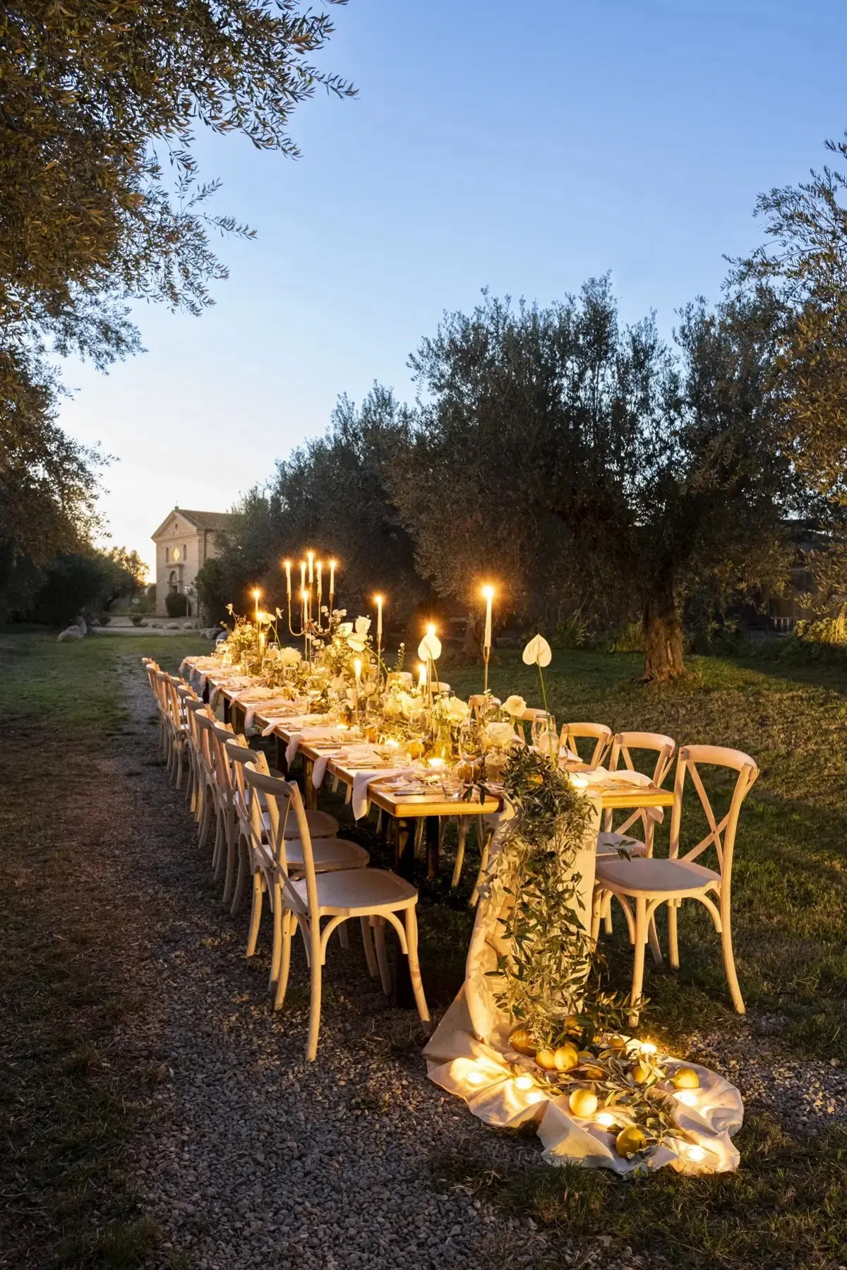 A candlelit outdoor dining table beneath olive trees