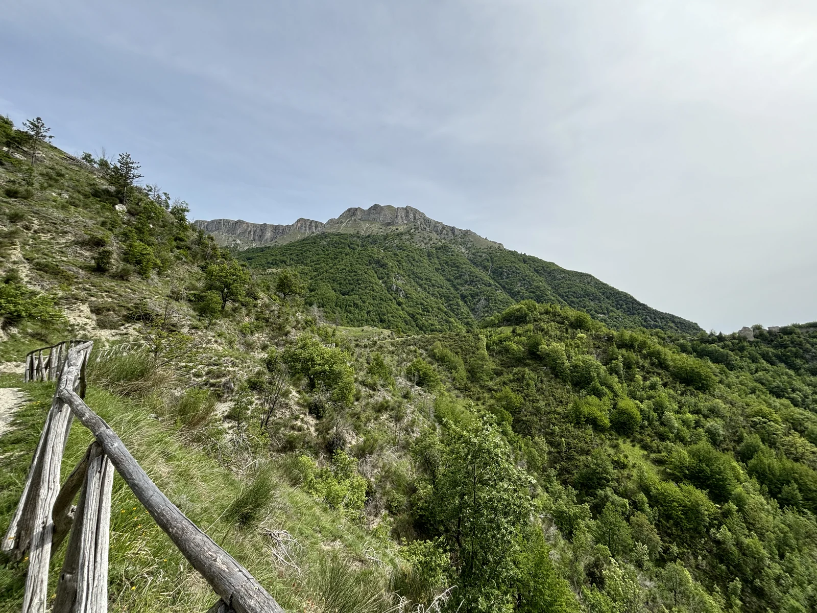 A hillside walking path with a wooden railing overlooking green mountain scenery